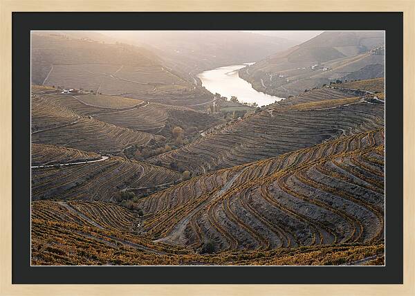 Douro Valley Autumn Serenity