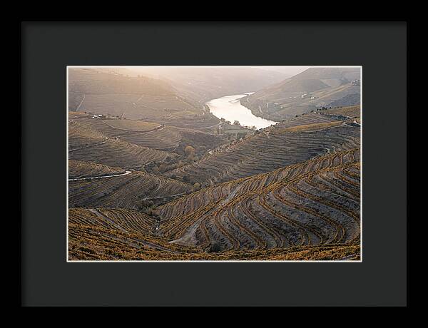 Douro Valley Autumn Serenity