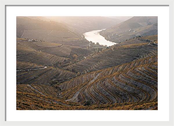 Douro Valley Autumn Serenity