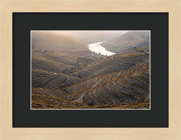Douro Valley Autumn Serenity