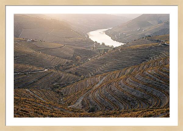 Douro Valley Autumn Serenity