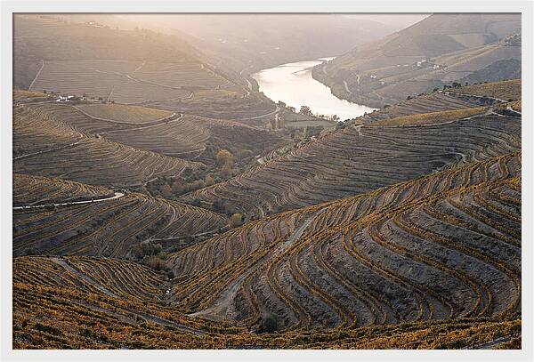 Douro Valley Autumn Serenity