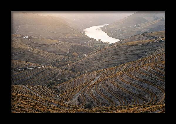 Douro Valley Autumn Serenity