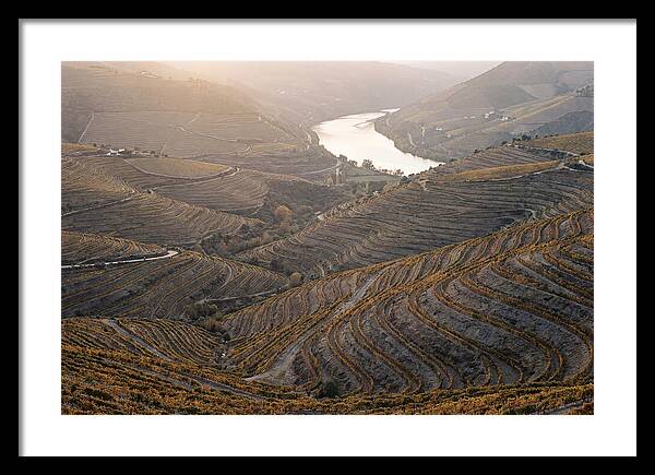 Douro Valley Autumn Serenity