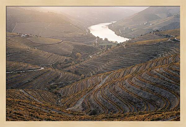Douro Valley Autumn Serenity