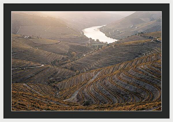 Douro Valley Autumn Serenity