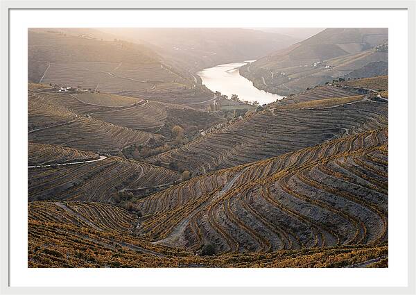 Douro Valley Autumn Serenity