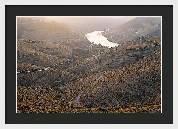 Douro Valley Autumn Serenity