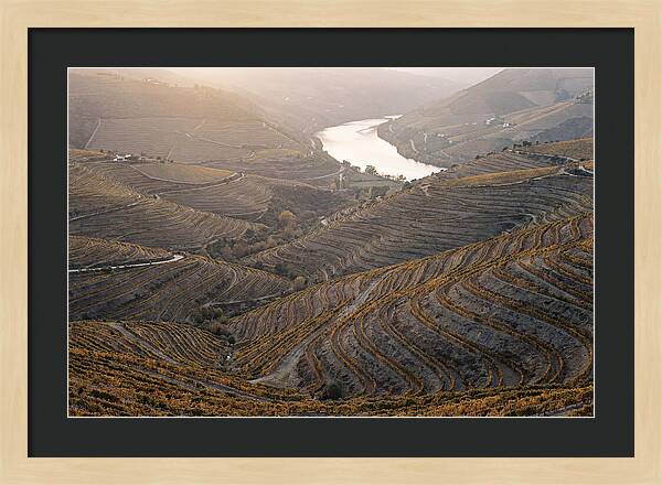 Douro Valley Autumn Serenity