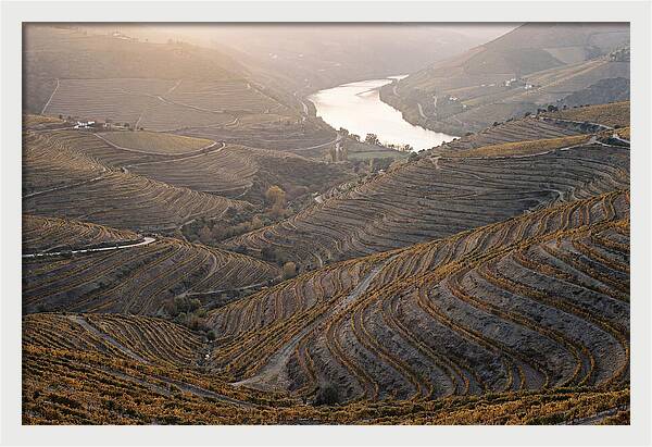 Douro Valley Autumn Serenity