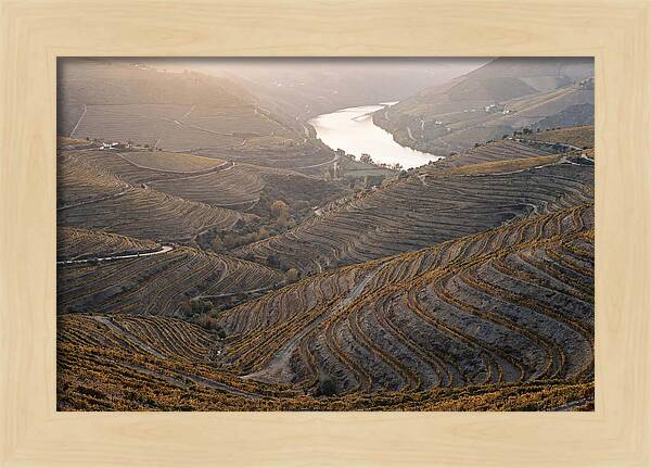 Douro Valley Autumn Serenity