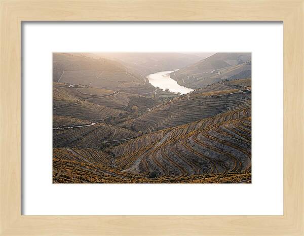 Douro Valley Autumn Serenity