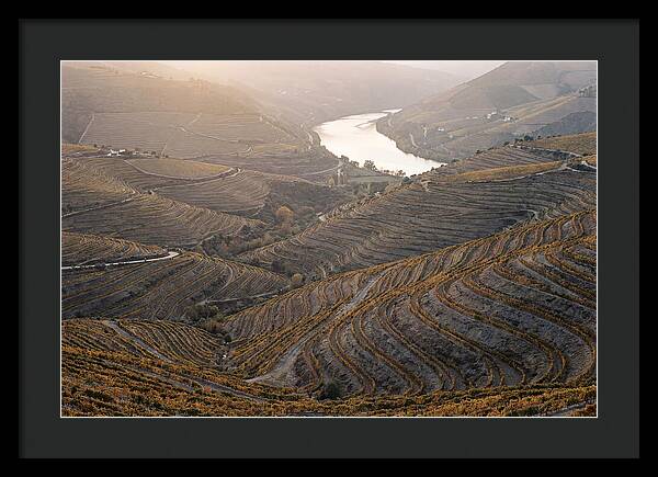 Douro Valley Autumn Serenity
