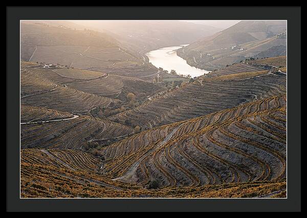 Douro Valley Autumn Serenity