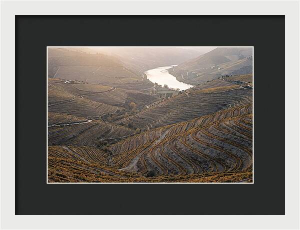 Douro Valley Autumn Serenity