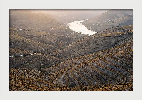 Douro Valley Autumn Serenity