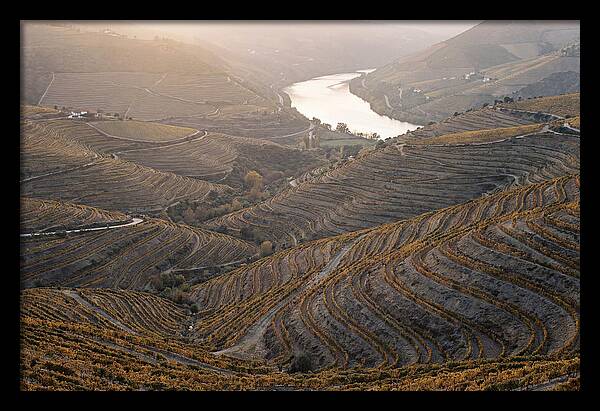 Douro Valley Autumn Serenity