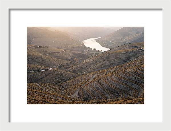 Douro Valley Autumn Serenity