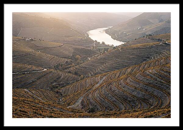 Douro Valley Autumn Serenity