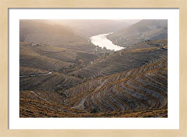 Douro Valley Autumn Serenity