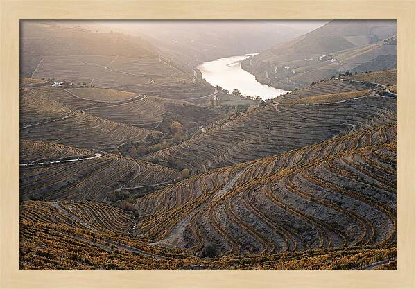 Douro Valley Autumn Serenity