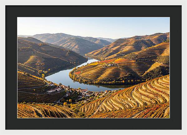 Douro Valley Serenity