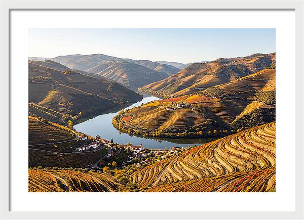 Douro Valley Serenity