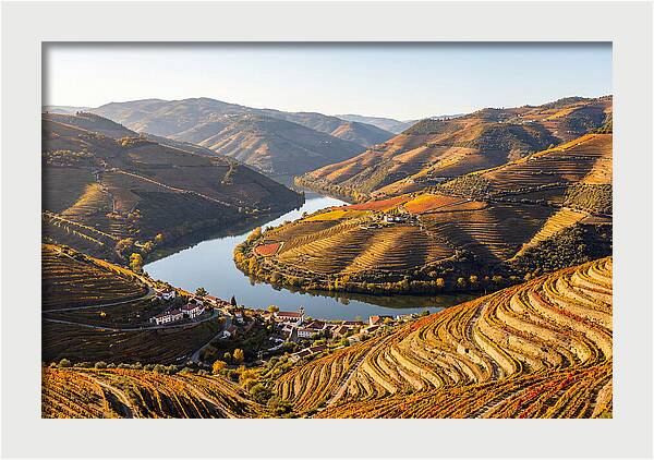 Douro Valley Serenity