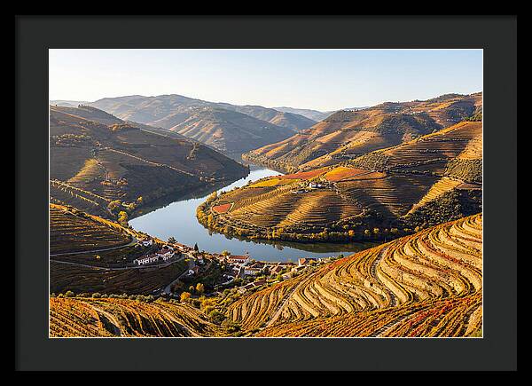 Douro Valley Serenity