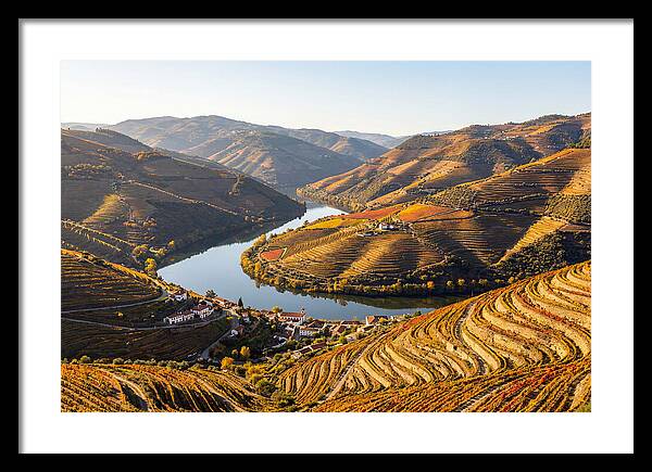 Douro Valley Serenity