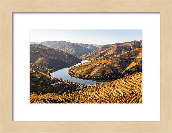 Douro Valley Serenity