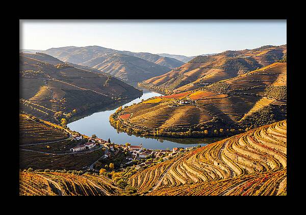 Douro Valley Serenity