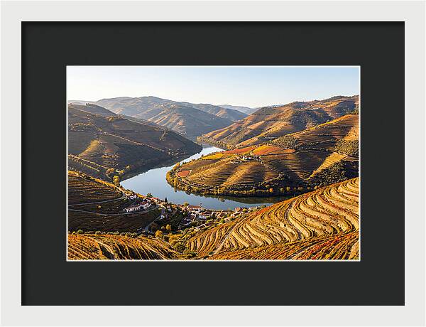 Douro Valley Serenity
