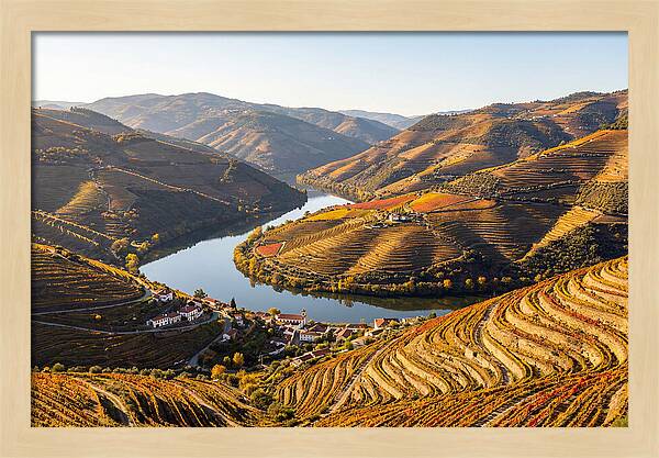Douro Valley Serenity