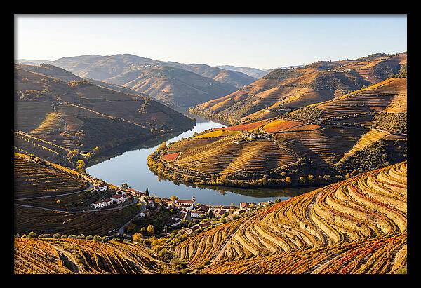 Douro Valley Serenity