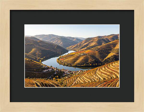 Douro Valley Serenity
