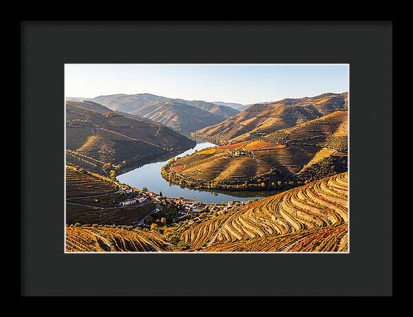 Douro Valley Serenity