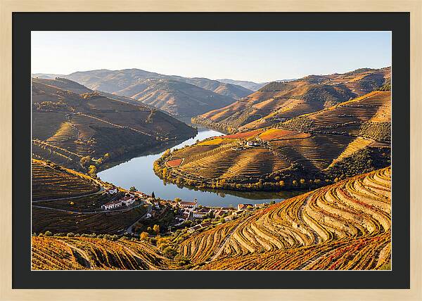 Douro Valley Serenity