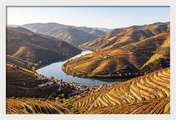 Douro Valley Serenity