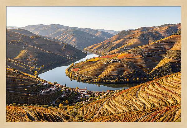 Douro Valley Serenity