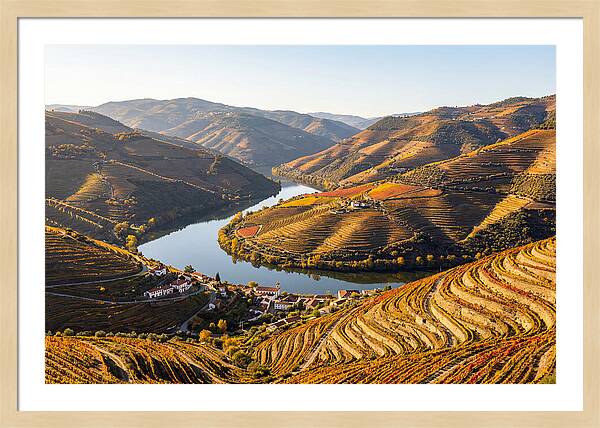 Douro Valley Serenity