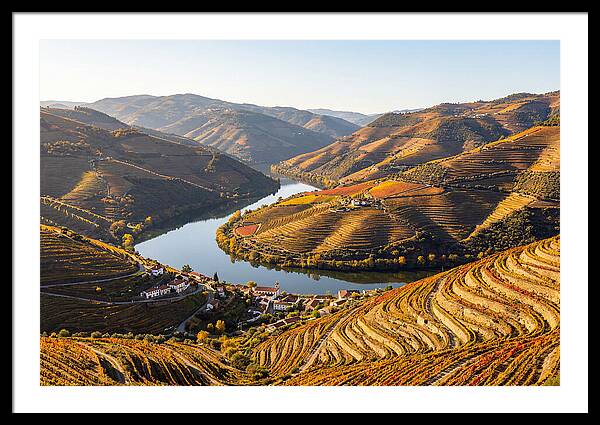 Douro Valley Serenity