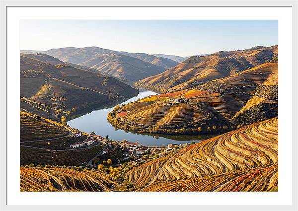 Douro Valley Serenity