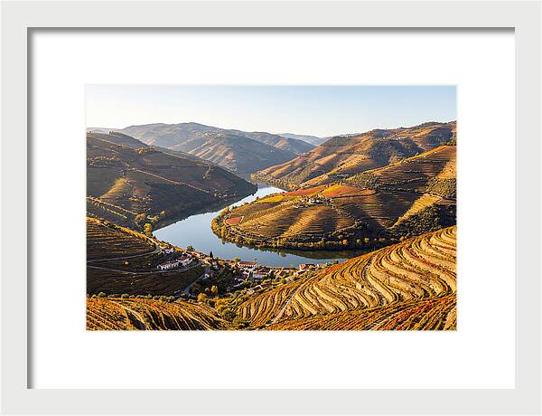 Douro Valley Serenity