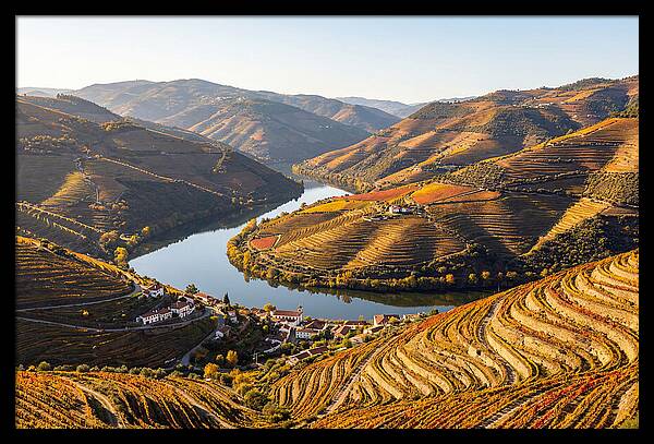 Douro Valley Serenity