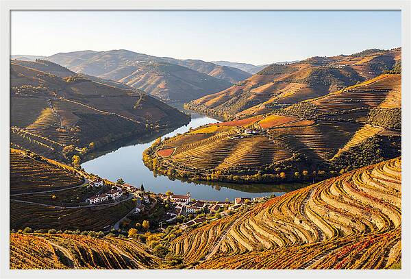 Douro Valley Serenity
