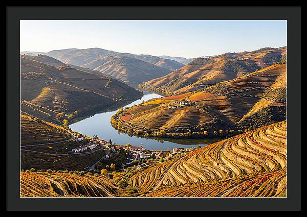 Douro Valley Serenity