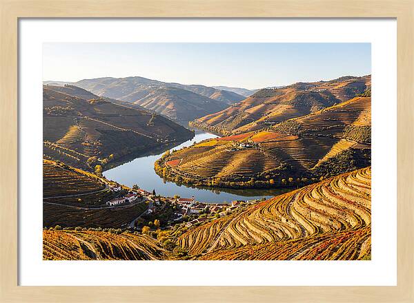 Douro Valley Serenity