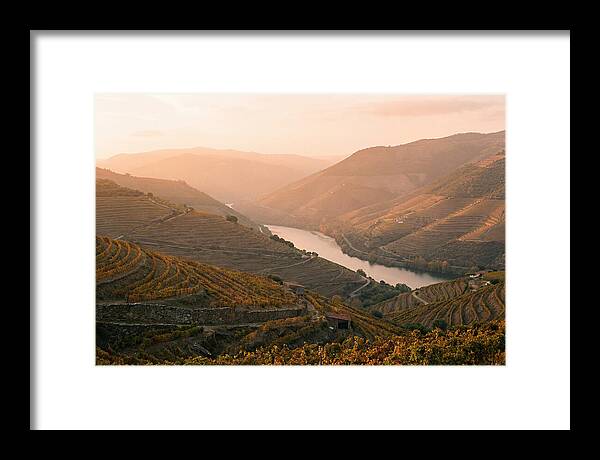 Douro Valley Serenity