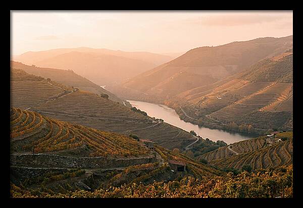 Douro Valley Serenity